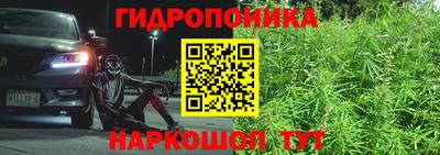 PSILOCYBIN Гусиноозёрск